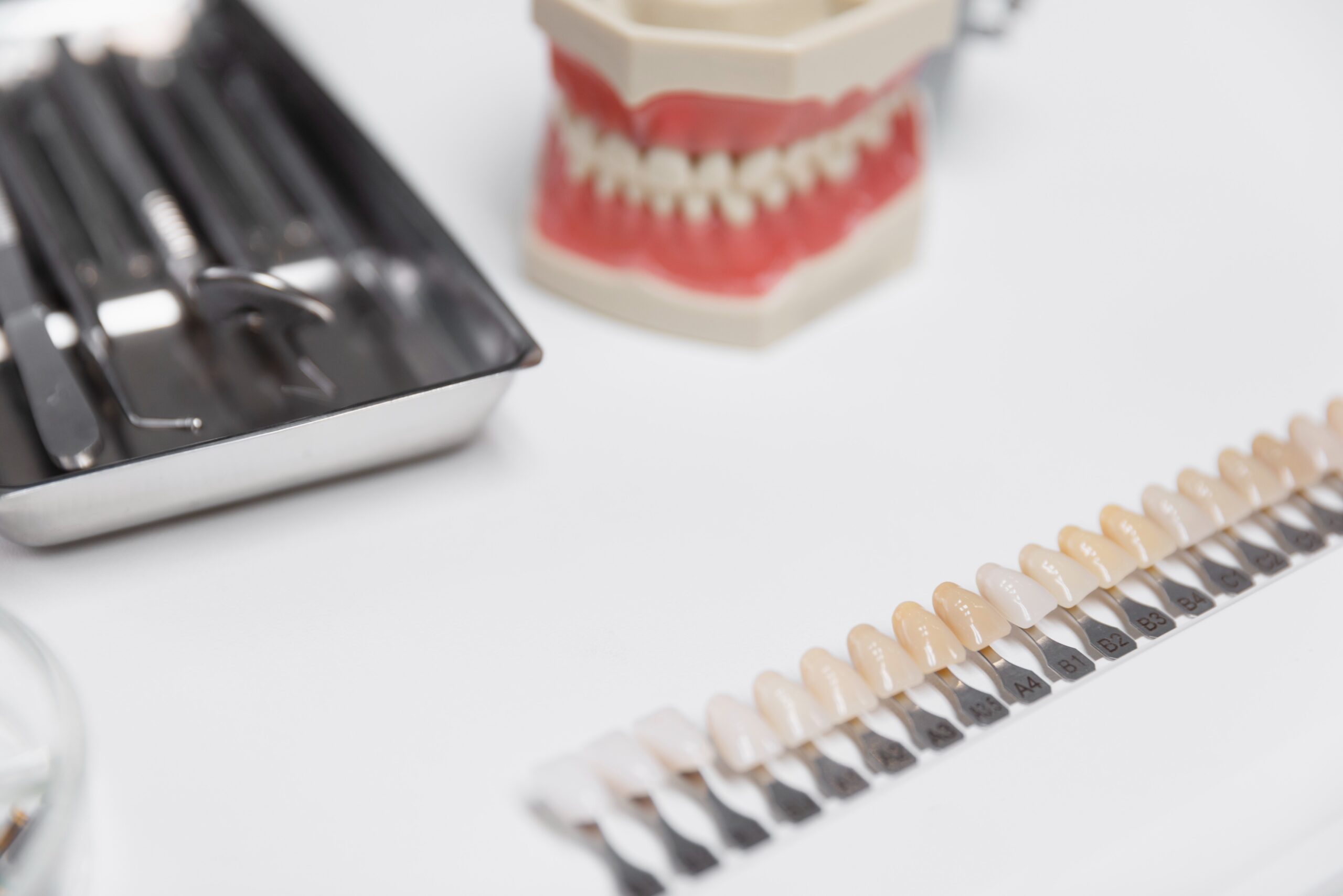 Ceramic Dental Implants